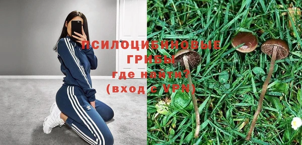 сатива Покровск