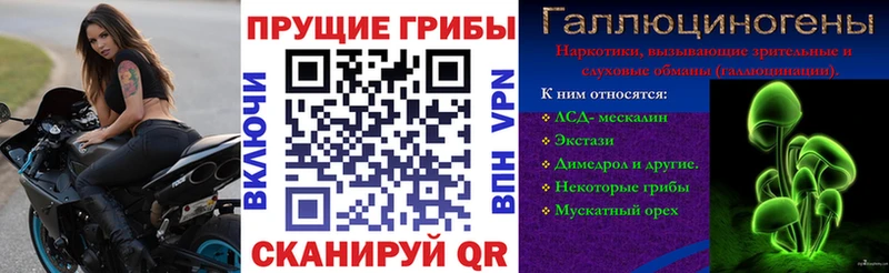 blacksprut ссылка  Мензелинск  Галлюциногенные грибы GOLDEN TEACHER  что такое  