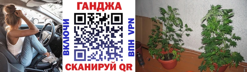 Конопля индика  Мензелинск 